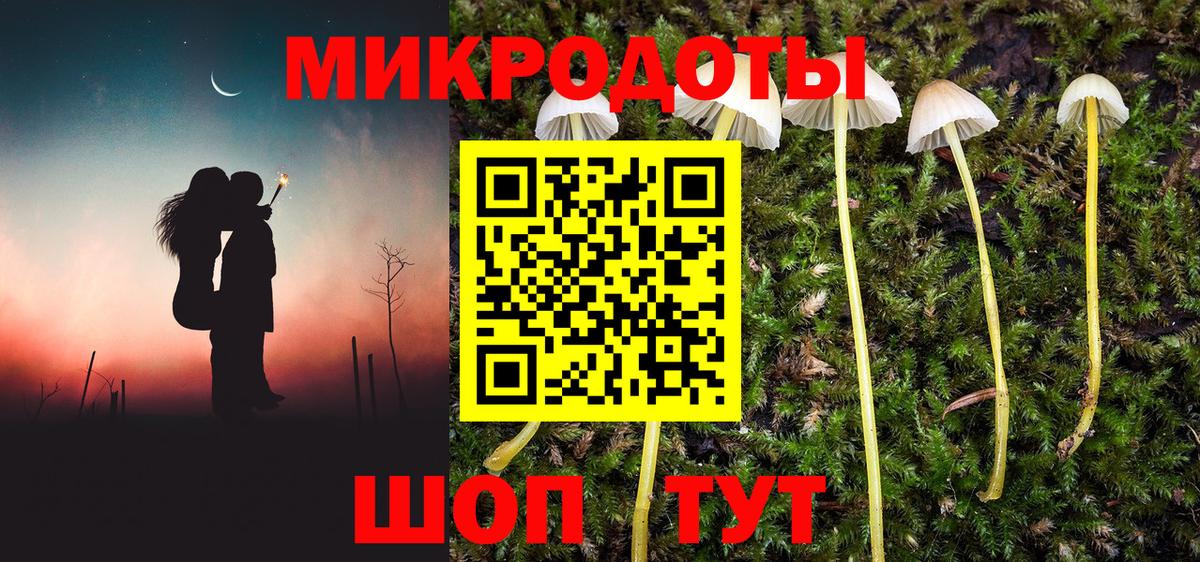 Галлюциногенные грибы Magic Shrooms Заводоуковск