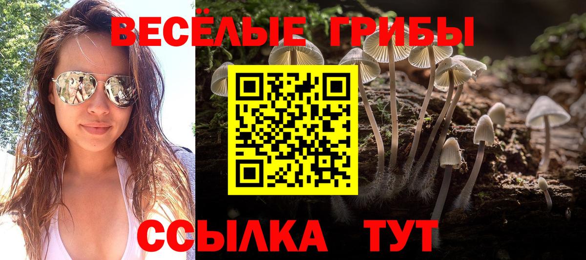 Гашиш Заводоуковск